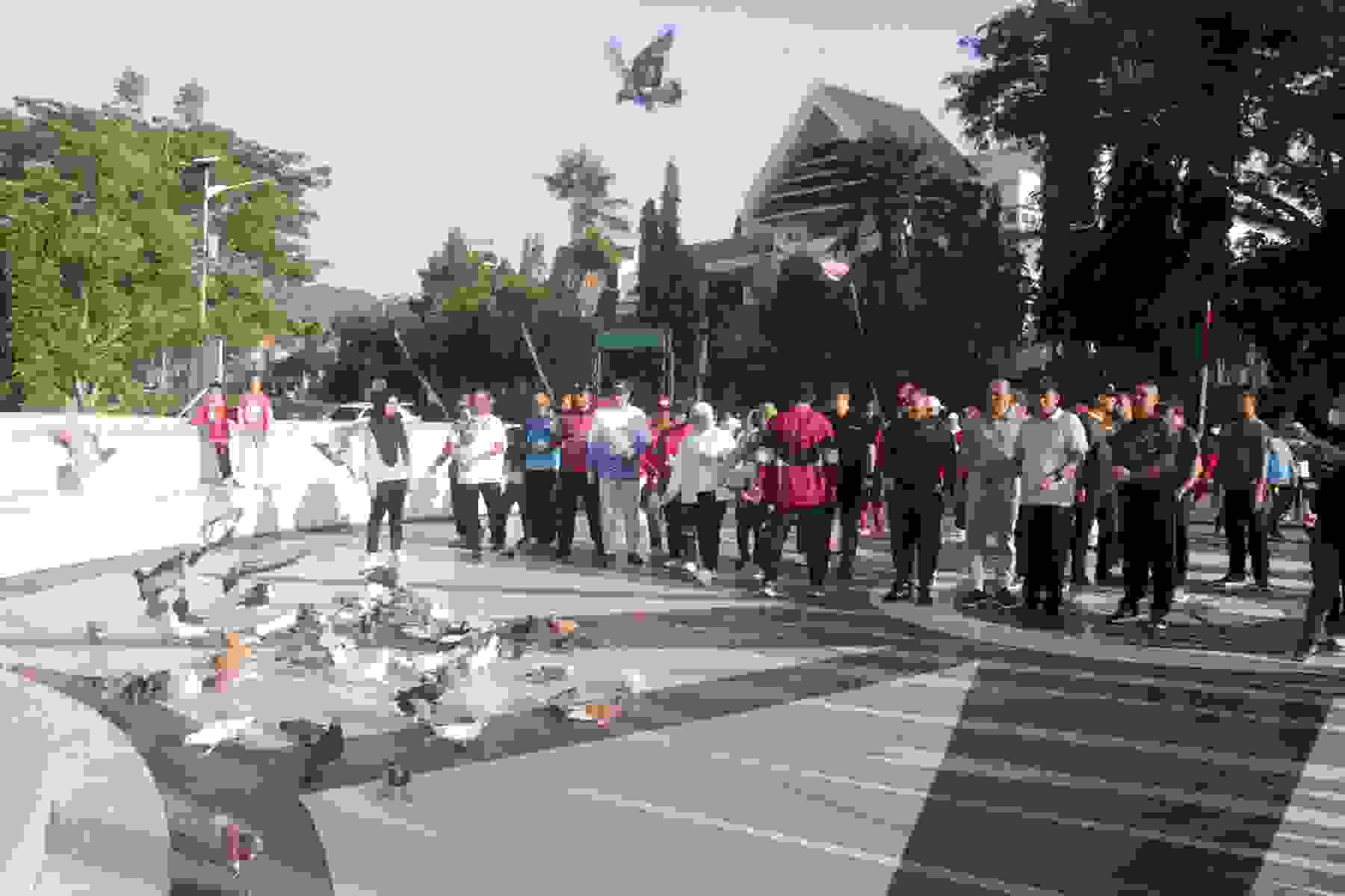 IMG-20240818-WA0043