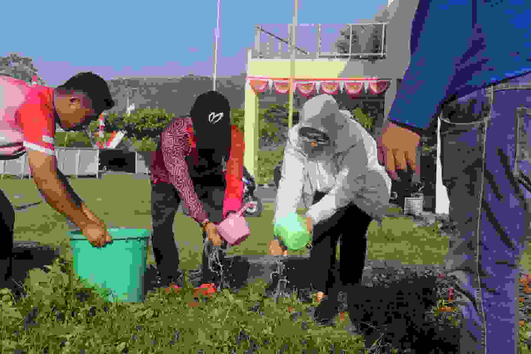 IMG-20240818-WA0053