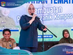 Bupati Mamuju Buka Pelatihan Tematik Petani Dan Penyuluh