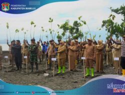 Gelar Sepekan Tanam Mangrove, Sutinah Sebut Investasi Jangka Panjang