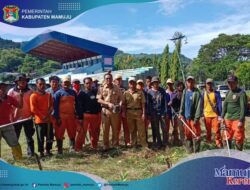 DLHK Lakukan Pembersihan dan Penanaman Pohon di Stadion Manakarra