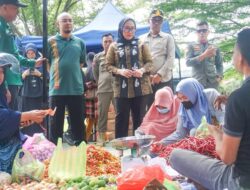 Bupati Mamuju Pantau Gerakan Pangan Murah Kolaborasi Penukaran Uang oleh BI