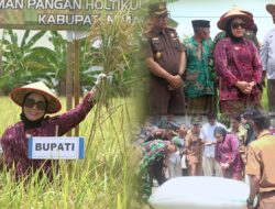 Hadiri Pesta Panen di Kalukku, Sutinah Ungkap Syukur Mamuju Surplus Beras