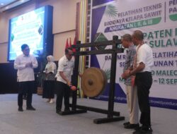 133 Petani Mamuju Ikuti Pelatihan Kelapa Sawit, Fokus Tingkatkan Produktivitas dan Kualitas Panen