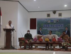 Pelestarian Hutan Butuhkan Kolaborasi Lintas Sektor